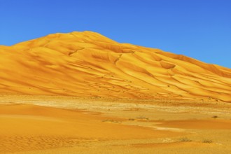 Wind-sculpted curved sand dunes in the Rub al Khali desert, Dhofar province, Arabian Peninsula,