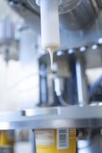 Close-up of a yoghurt filling process in a production plant, ice cream production Haselstaller Hof,