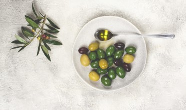 A mix of olives, a variety of Chalkidiki, verdi giganti and Kalamata, on a plate with a spoonful of