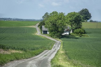 Small gravel road through landscape with small farm in spring in Sjörup, Ystad Municipality, Skåne