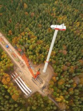 A crane lifts components for a wind turbine in a colourful forest, wind farm construction site,