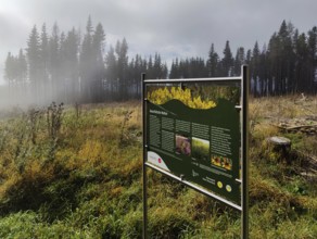 Idarwald with information board with sun and fog on the Idarkopf, Weitersbach, Hunsrück,