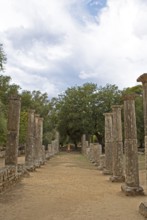 Ancient ruins of the archaeological site of Olympia, UNESCO World Heritage Site, Élis, Peloponnese,