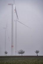 Wind farm in fog, dark doldrums, no wind no direct sunlight, in the Rhenish lignite mining area,