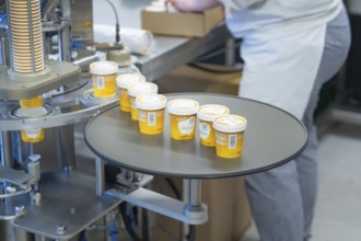 Yellow ice cream tubs on a turntable ready for packaging, ice cream production Haselstaller Hof,