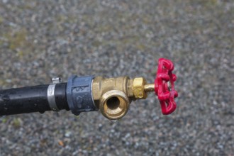 Close-up of black plastic garden hose main water supply connecting pipe with brass fitting and red