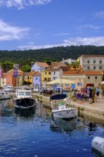 Rovenska harbour, Veli Losinj, near Mali Losinj, island of Losinj, Kvarner Gulf Bay, Croatia,