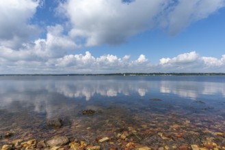 Nature reserve Holnis peninsula on the Flensburg Fjord, NSG, water reflection, German, Danish