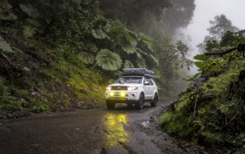 Off-road vehicle in the fog in the rain, with fog lights on a narrow road, dense vegetation on a