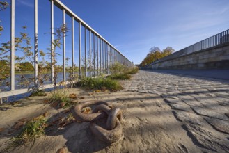 Elbe, river, historic quay wall, eyelet for mooring, cobblestones, metal railing, frog perspective,