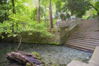 Stairs leading to a quiet river, surrounded by lush greenery and trees, spring, Tempe Valley, Tembi