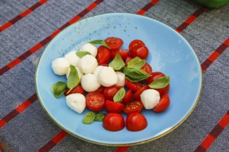 Italian cuisine, Mediterranean cuisine, mozzarella, basil, cherry tomatoes, cocktail tomatoes,