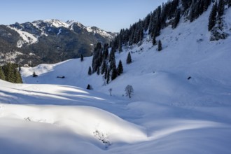 Winter mountain landscape at Roßkopf, Mangfallgebirge, Bavaria, Germany, Europe