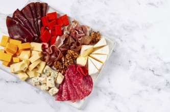 Assortment of cheese meat cuts, on a plate, top view, no people