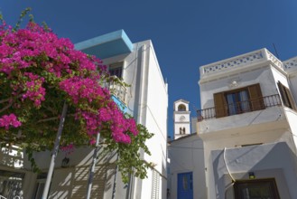 White houses of Menetes with bougainvillea and a bell tower in front of a clear blue sky, Menetes,