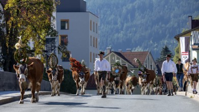 Alpine hut tour through the historic centre of Schwaz, from the Eng-Alm through the Karwendel