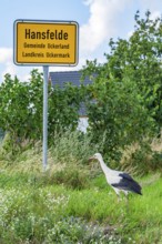 White stork (Ciconia ciconia) standing under the village sign of Hansfelde, Uckerland, Uckermark,