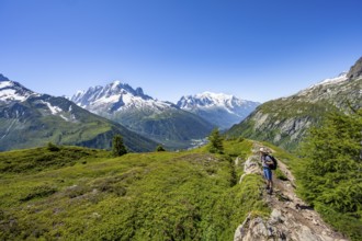 Mountaineer in front of a mountain panorama with glaciated mountain peaks, Aiguille Verte with