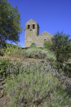 Lavender and behind it Prieuré de Serrabone, Boule-d'Amont, Département Pyrénées-Oriental, France,