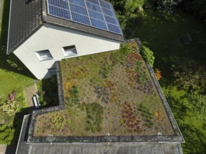 Mülheim an der Ruhr, North Rhine-Westphalia, Germany, flat roof with green roof. Extensive green