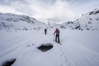 Ski tourers ascending in the rear Martell Valley, snow-covered mountain peak Monte Cevedale behind,