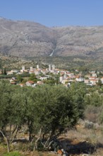 Flomochori fortified village on the Mani, olive groves in front, Laconia, Peloponnese, Greece,