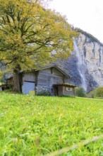 A barn stands next to an old tree with magnificent autumn leaves, near a waterfall, embedded in a