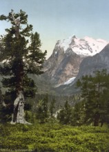 Wetterhorn, general view, Bernese Oberland, Switzerland, Historic, digitally restored reproduction