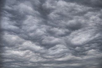 Dramatic cloud formation, format-filling, wavy, extremely structured, closed cloud cover, cloud