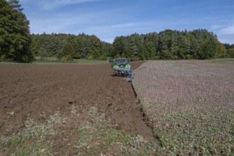 Farmer with tractor ploughing his field with a 5-turn rotary plough, Franconia, Bavaria, Germany,