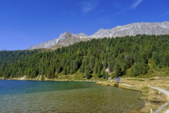 Obersee, Staller Sattel, Defereggen Valley, East Tyrol, Austria, Europe