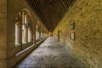 The cloisters of New College, University of Oxford, Oxfordshire, England, Great Britain