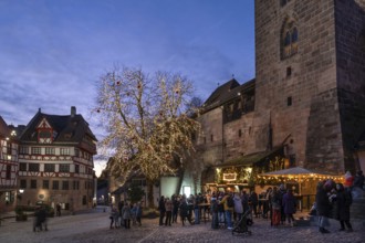 Albrecht Dürer House with tree of lights in the evening at Christmas time, Tiergärtnertorplatz,