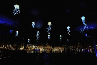 Coloured illuminated octopuses on the ceiling of the boat station, Lilu, Light Festival 2025,