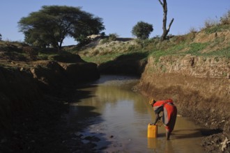 Woman collecting water in a pond in the Borana countryside, Ethiopia, Africa