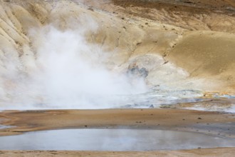 Krýsuvík, solfatara field at Seltún, Austurengjar, Reykjanes nature reserve, Reykjanes Peninsula,