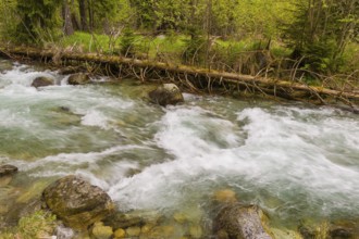 Fast flowing water, River Bela near Prbylina, Slovakia, Europe