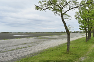 Very dry Zicksee, Lake Neusiedl National Park, Seewinkel, Burgenland, Austria, Europe