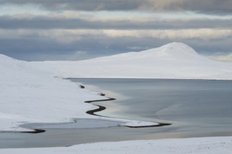 Winter landscape, snowy landscape, Snaddvika bay, Murchisonfjord, Svalbard and Jan Mayen