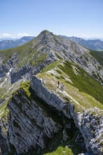 Mountaineer on the summit ridge of the Unnütz, Unnütz crossing, Brandenberg Alps, Tyrol, Austria,