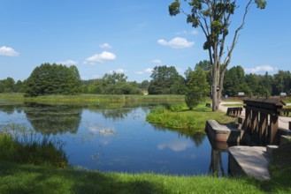 Idyllic pond with green trees and blue sky, a bridge in the foreground, peaceful landscape,