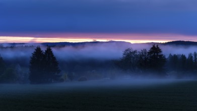 Landscape in the Little Odenwald. Meadow, trees and forest. After sunset, with rising mist (ground