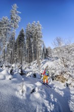 Ski tourer in a snowy winter forest, ascent to the Teufelstättkopf, snowy mountain landscape,