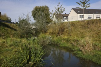 Recklinghausen, North Rhine-Westphalia, Germany, renaturalised Hellbach, renaturalised watercourse,