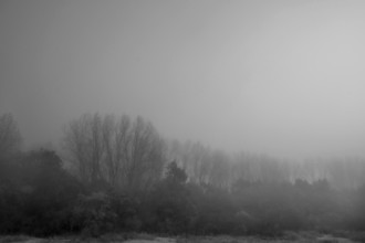 Sun in the morning mist, landscape in Mecklenburg-Vorpommern, Germany, Europe