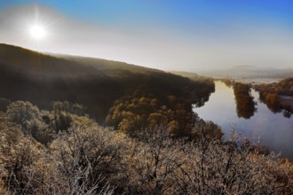 Atmospheric backlit view of the Ruhr with hoarfrost in winter, Witten, Ruhr area, North