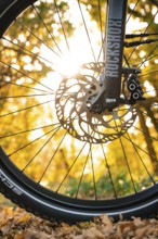 Close-up of a bicycle rim with disc brake in autumn light, e-bike, forest bike, Calw, district of