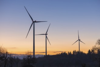 Three wind turbines in front of a vivid sunset, surrounded by trees and a colourful sky, convey