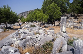 Archaeological excavation site Ruins of the ancient Greek city of Priene, Turkey, 1997 Agora and