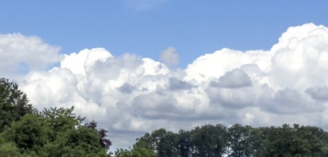 White cumulonimbus clouds move over forest area trees treetops, Germany, Europe